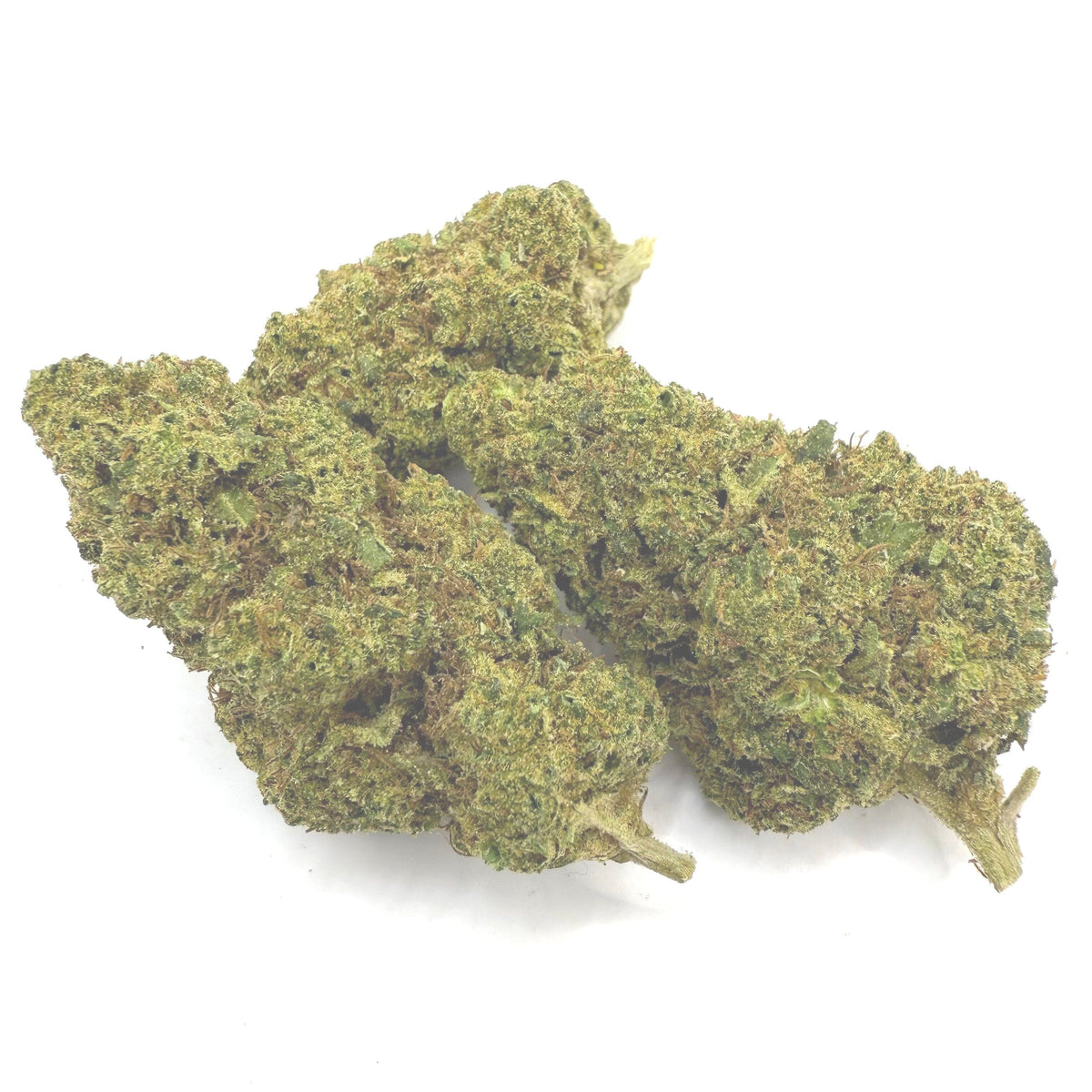 Apricot Scone - THCA Flower - BackWoodz