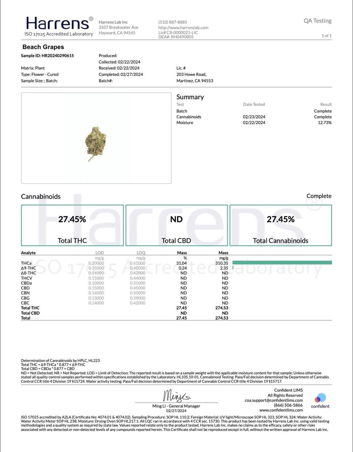 Beach Grapes - THCA Flower - BackWoodz