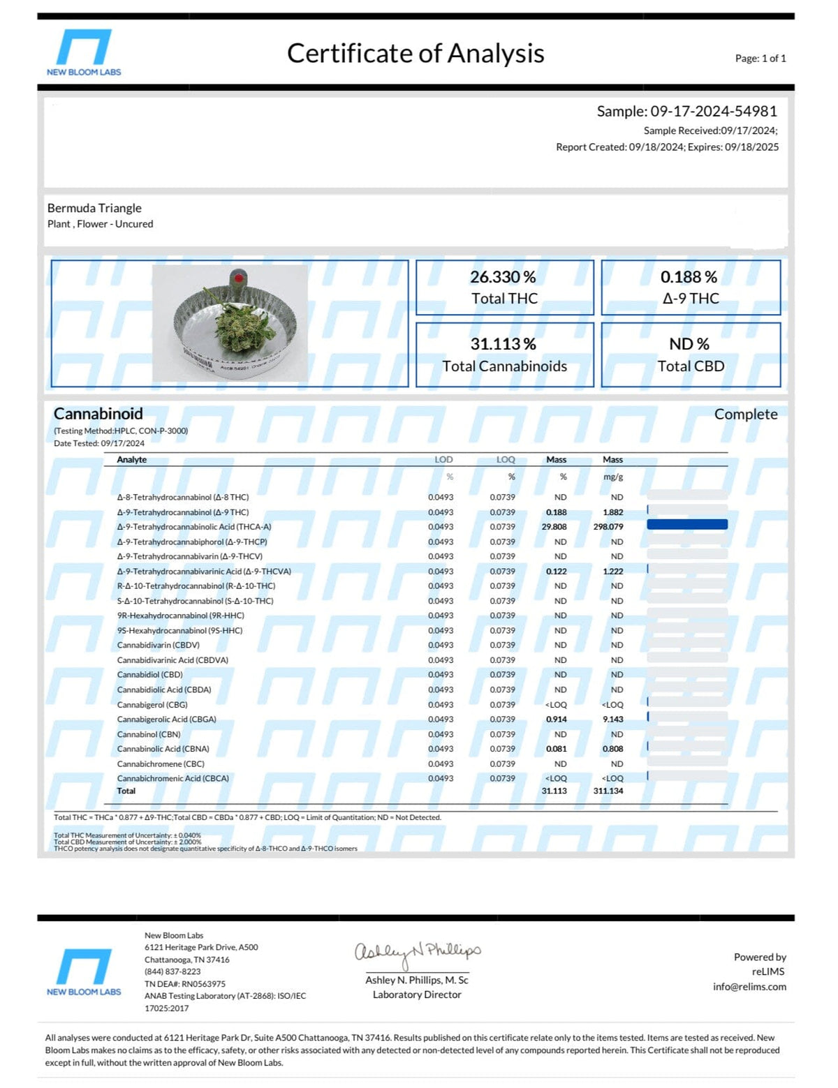 Bermuda Triangle - THCA Flower - BackWoodz