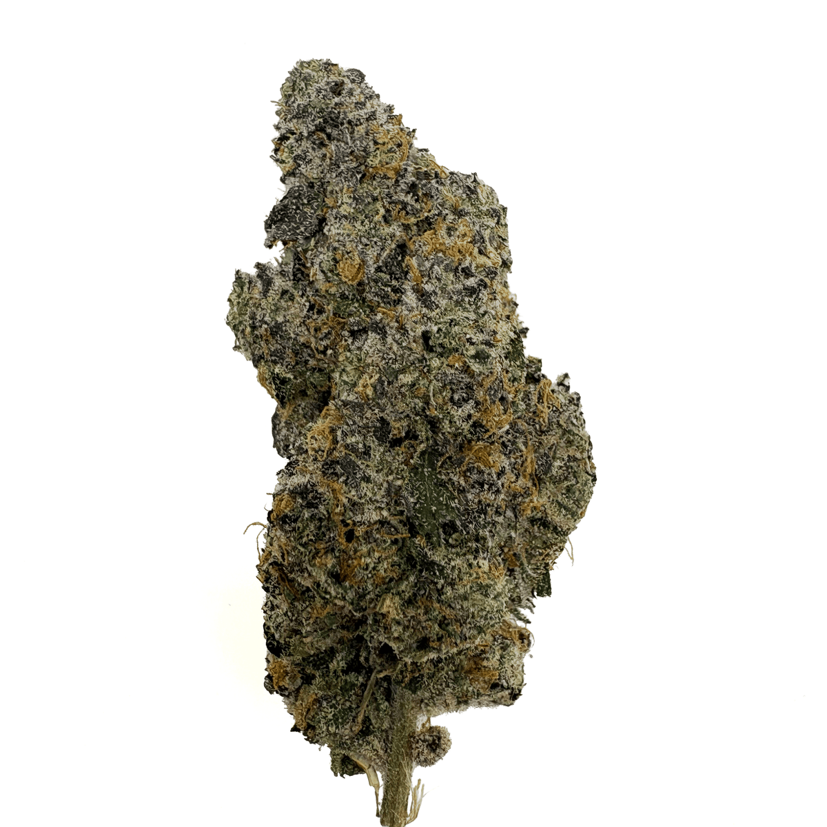 Blue Slushie - THCA Flower - BackWoodz 