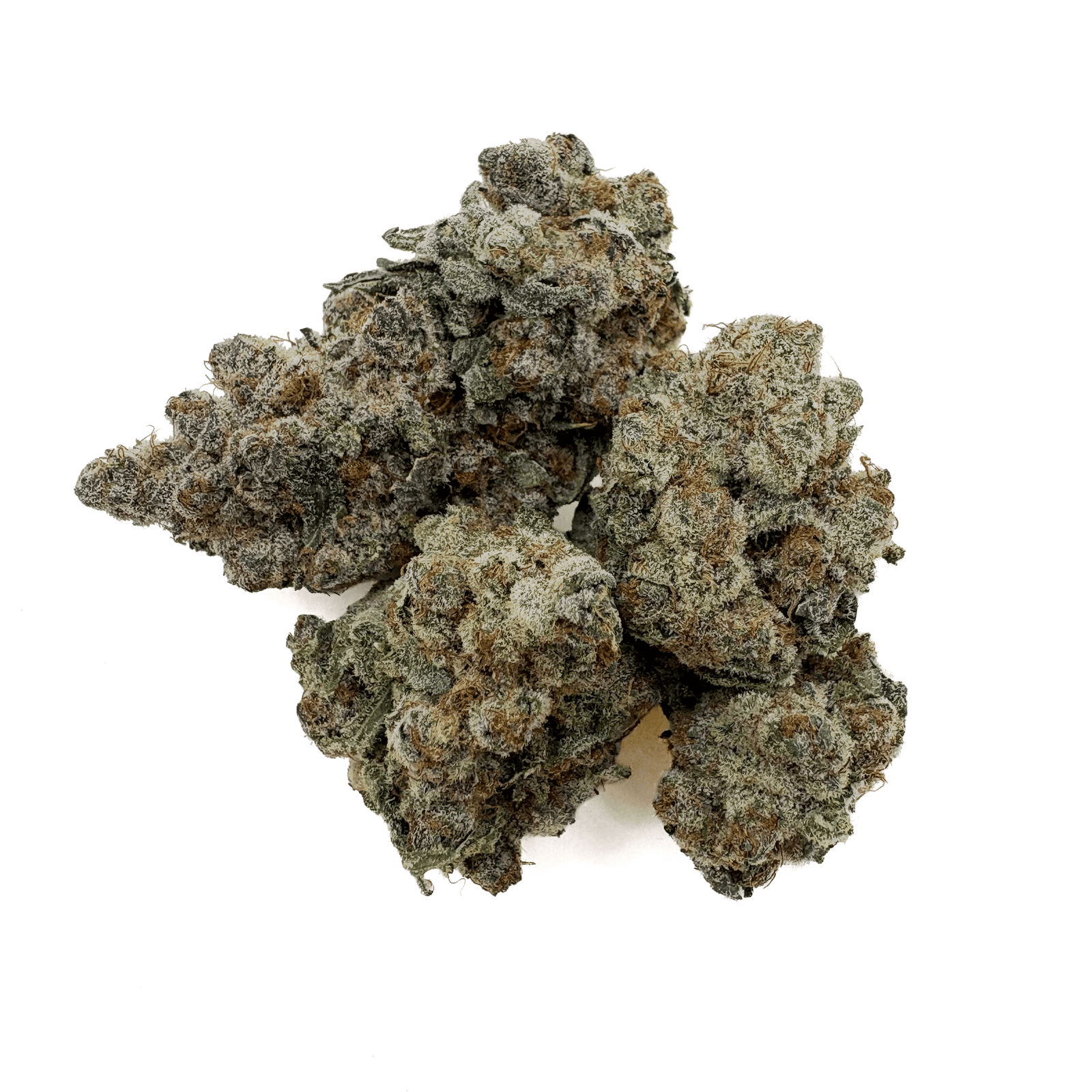 Durban Cookies THCA Bud