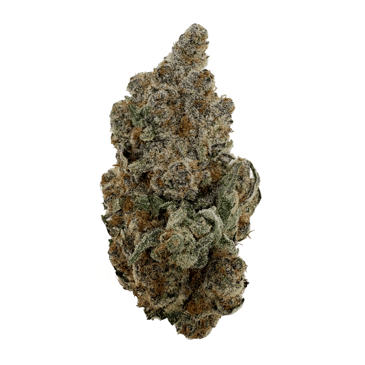 Durban Cookies THCA Bud