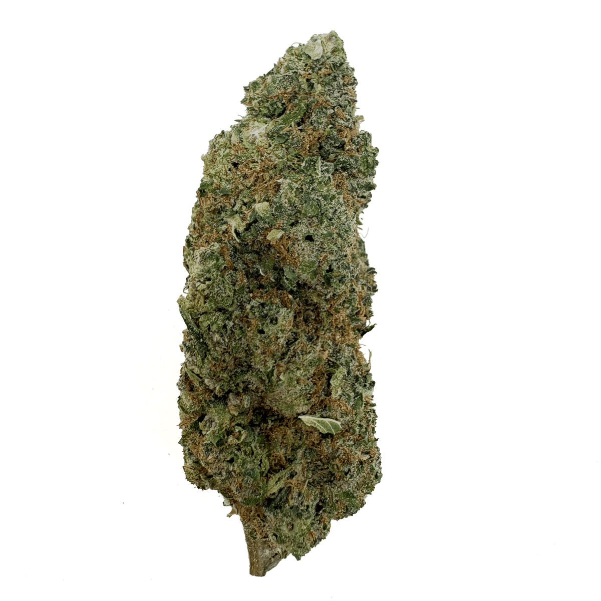 Orange Push Pop THCA Bud