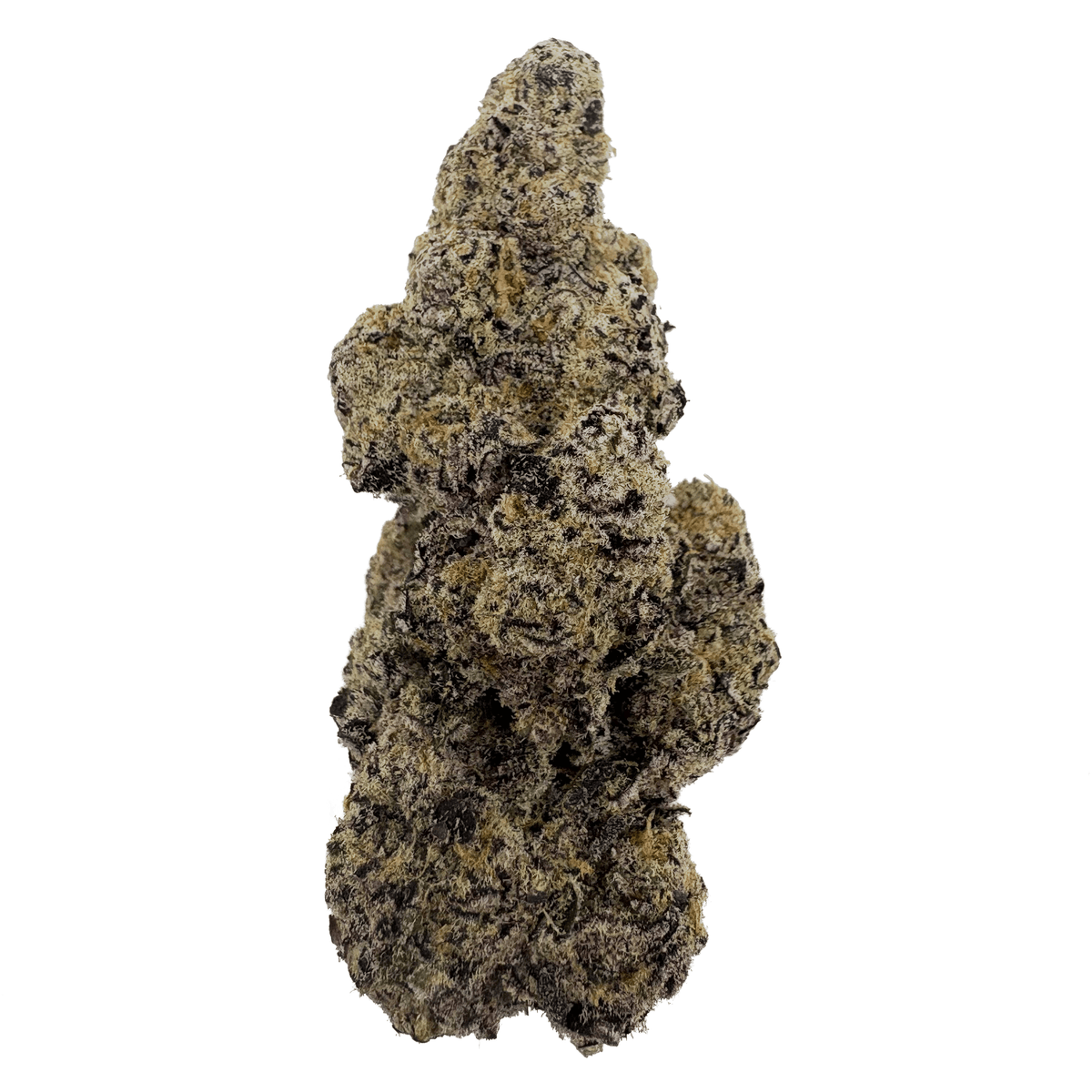 Trapzilla THCA Flower Bud