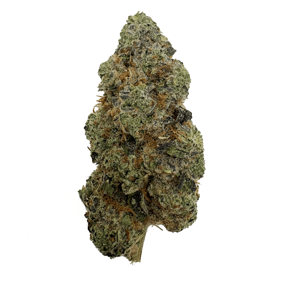 Wedding cake - thca flower - BackWoodz 