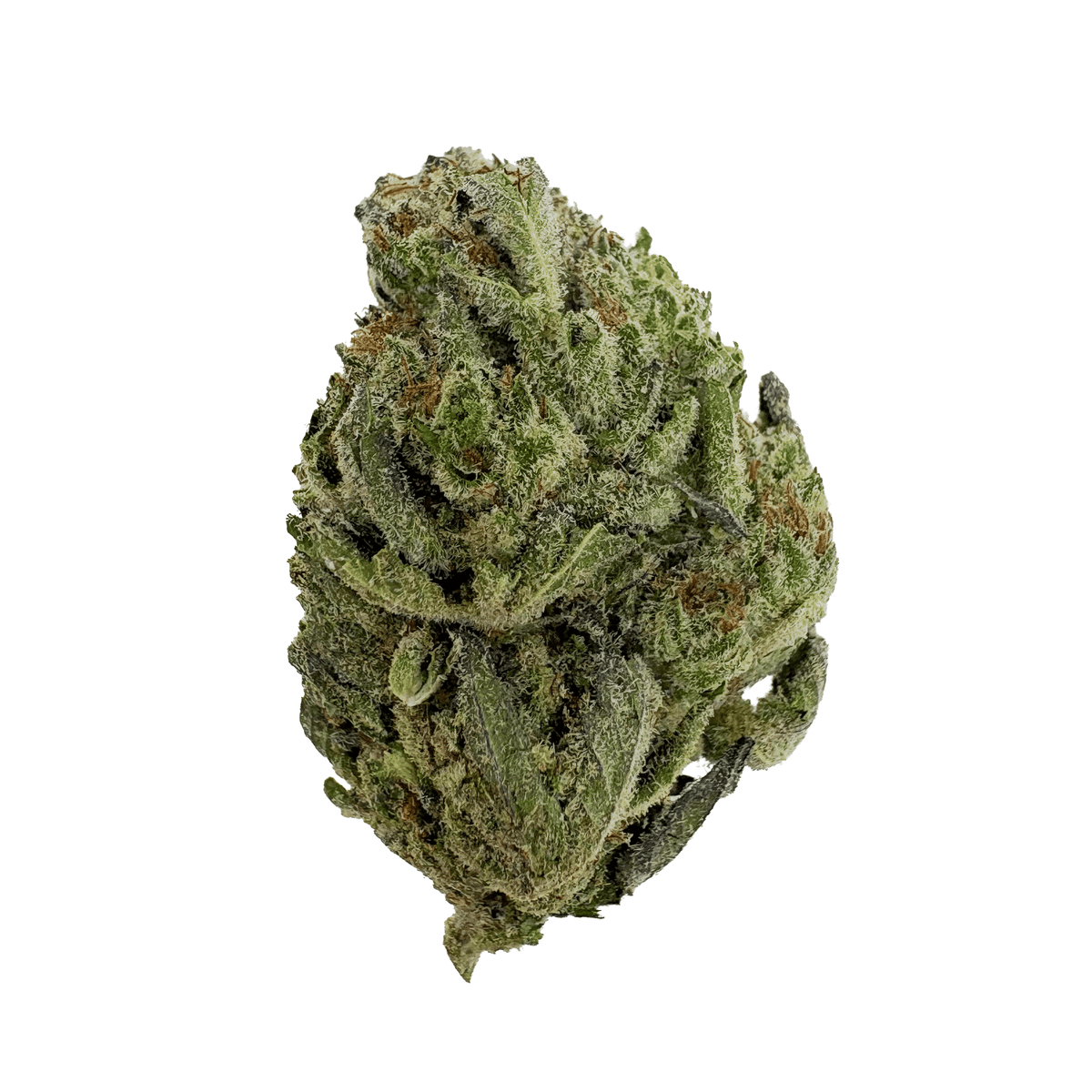 White Trufflez THCA Bud