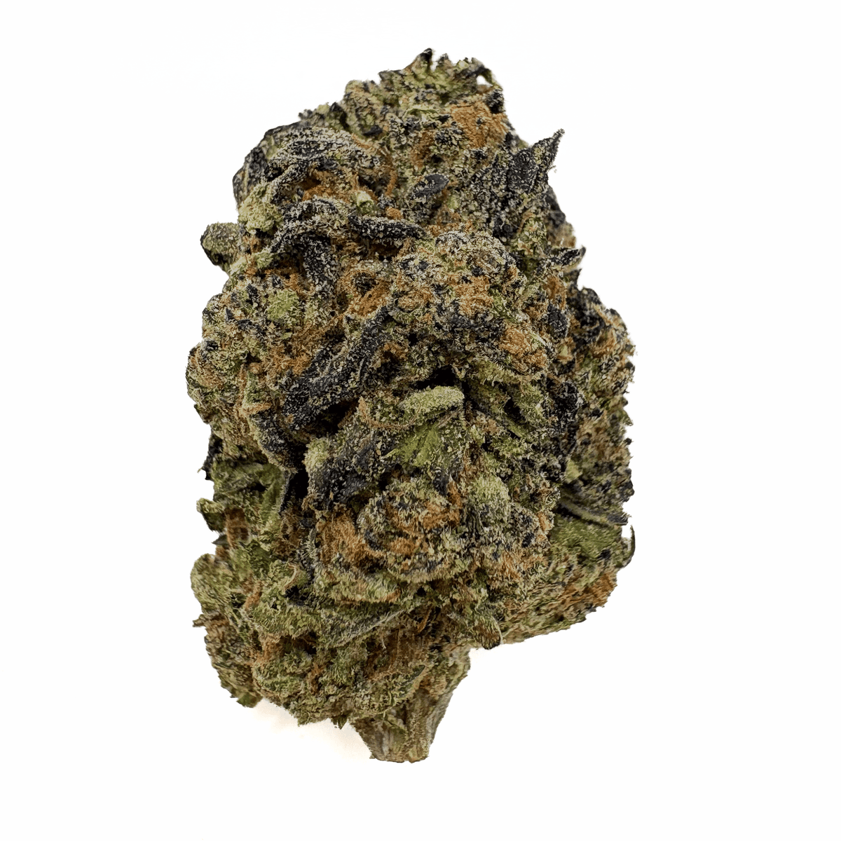 Rainbow Sherbet THCA Bud