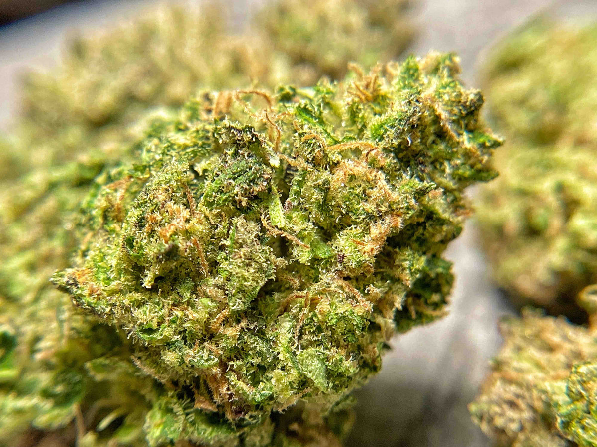 Abracadabra Hydroponic Hemp Flower - BackWoodz CBD