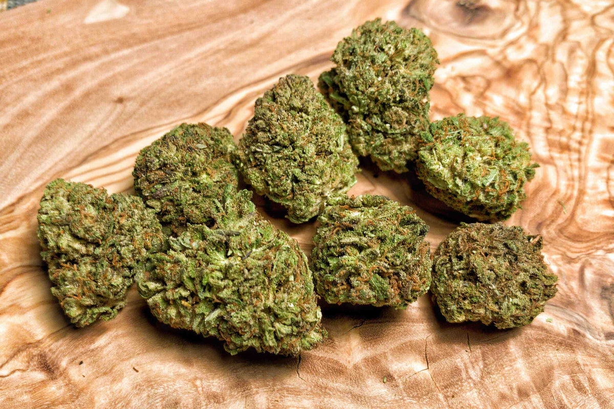 Ben Bubba BaOx Kush CBD Flower - Backwoodz CBD