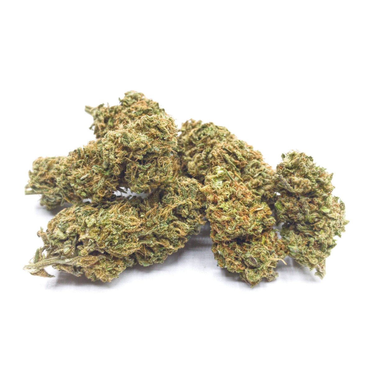 Indica Sampler