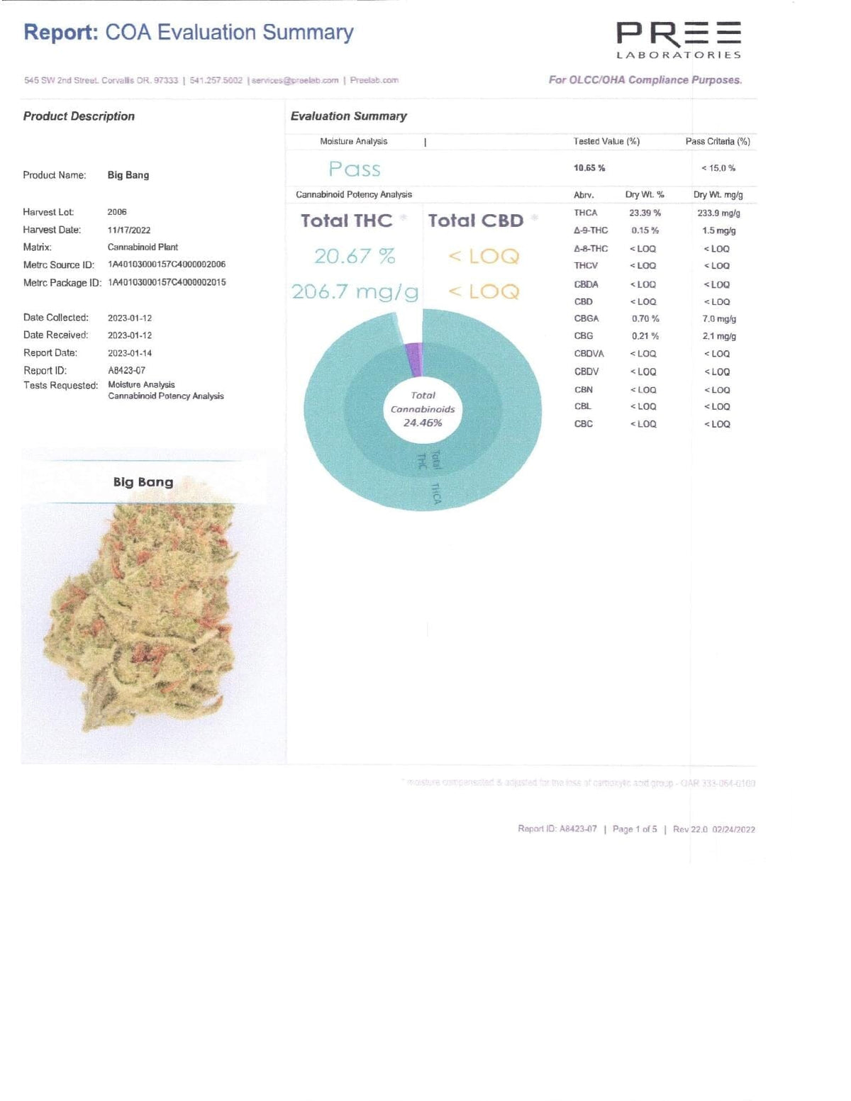 Big Bang THCA Flower - BackWoodz Cartel