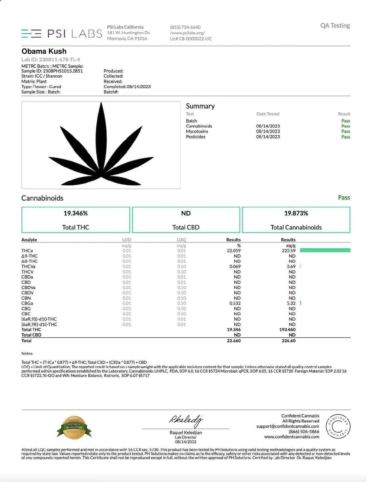 Obama Kush THCA Flower - BackWoodz 
