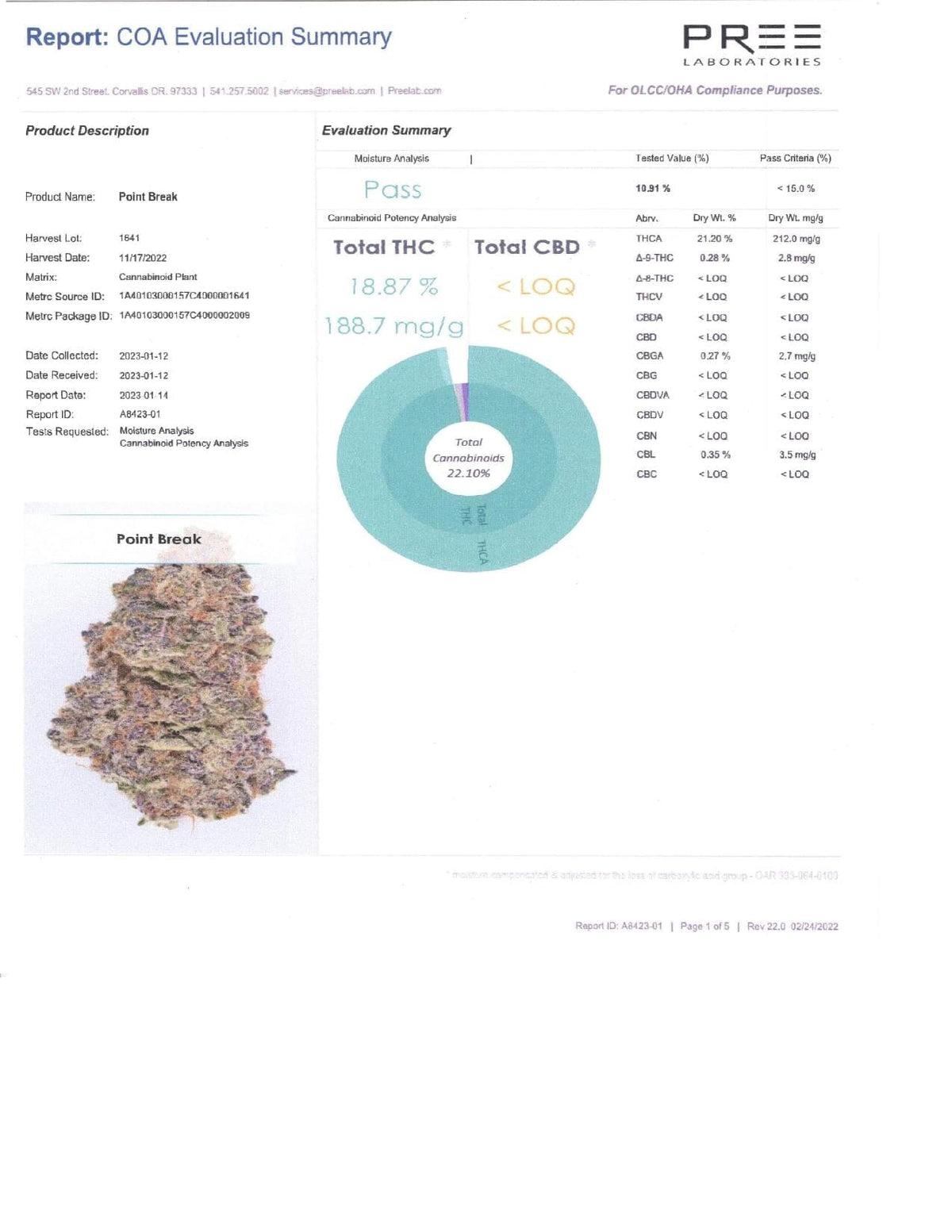 Point Break THCA Flower - BackWoodz Cartel 