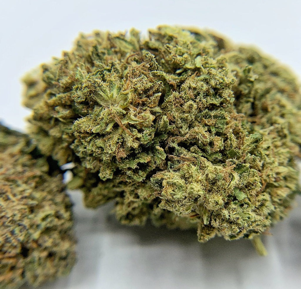OG Bubba Kush CBD Flower - BackWoodz CBD
